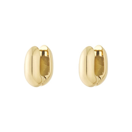   Hoop Earrings irregular shape rectangle Casual Daily Simple Series Women's jewelry