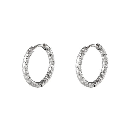 stainless steel hoop earrings 