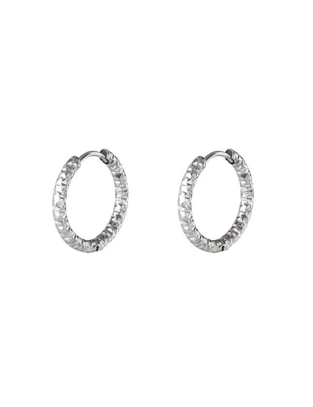 stainless steel hoop earrings 