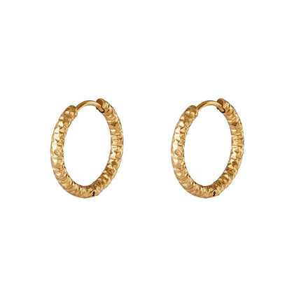 stainless steel hoop earrings 