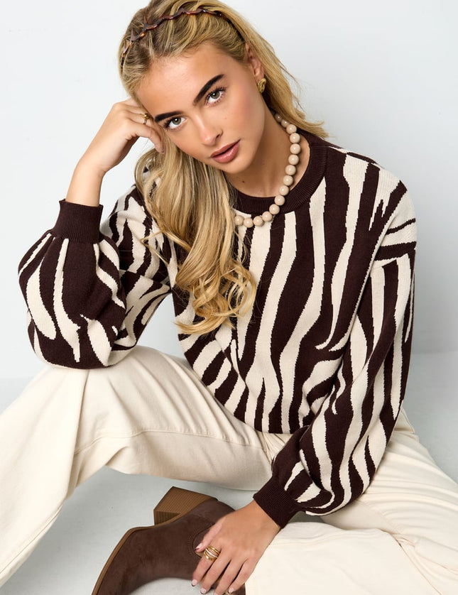 Pulls tricotés à rayures zébrées Vêtements décontractés automne/hiver