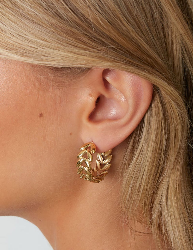 Stainless Steel Hoop Earrings leaf Casual Daily Simple Series Women's jewelry