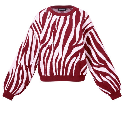 Pulls tricotés à rayures zébrées Vêtements décontractés automne/hiver