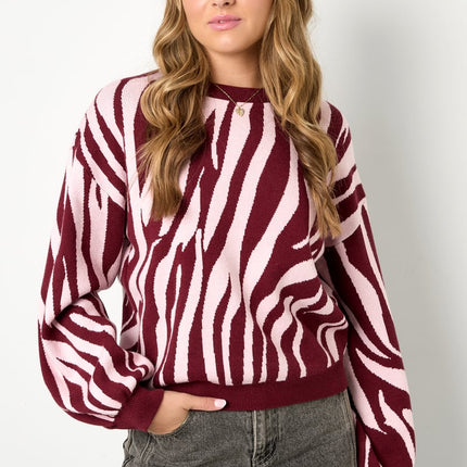 Pulls tricotés à rayures zébrées Vêtements décontractés automne/hiver