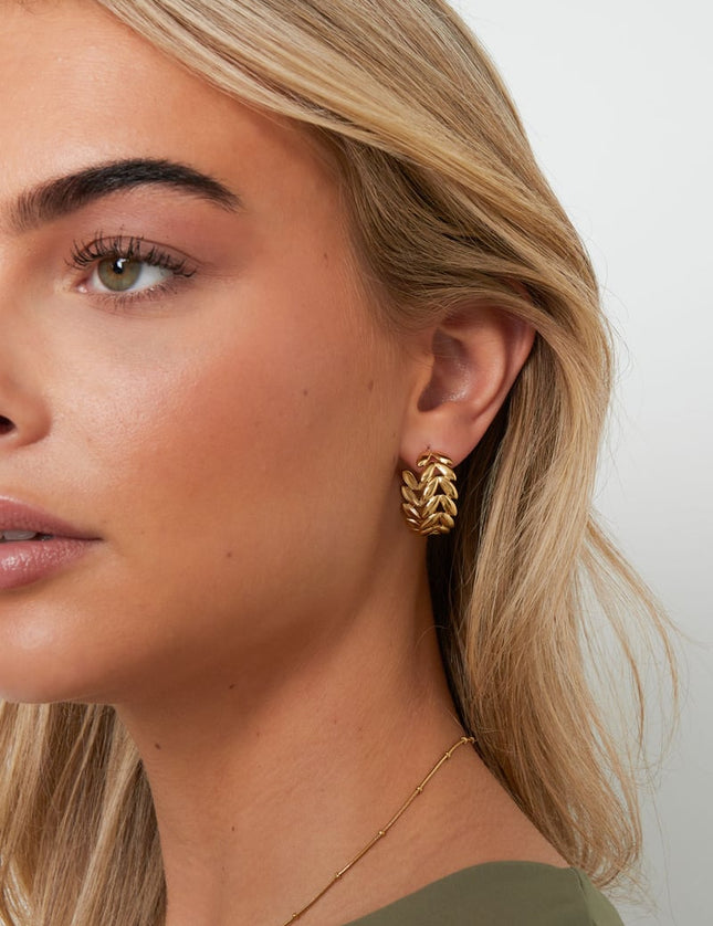 Stainless Steel Hoop Earrings leaf Casual Daily Simple Series Women's jewelry